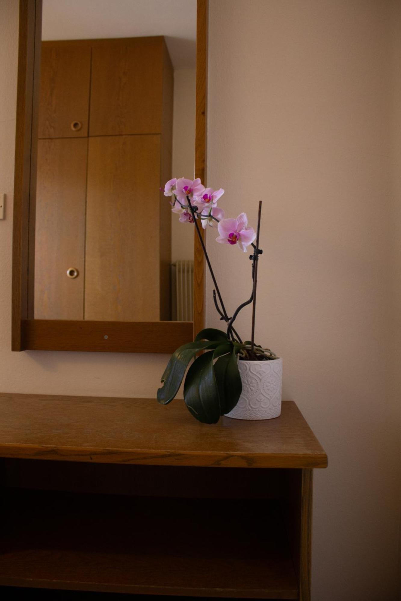Locanda La Ruscoletta Telve ภายนอก รูปภาพ
